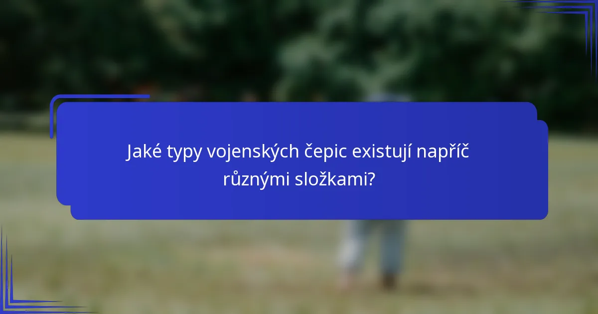 Jaké typy vojenských čepic existují napříč různými složkami?