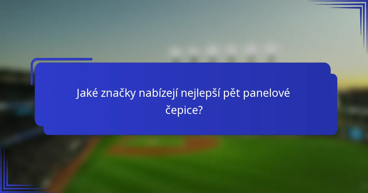 Jaké značky nabízejí nejlepší pět panelové čepice?